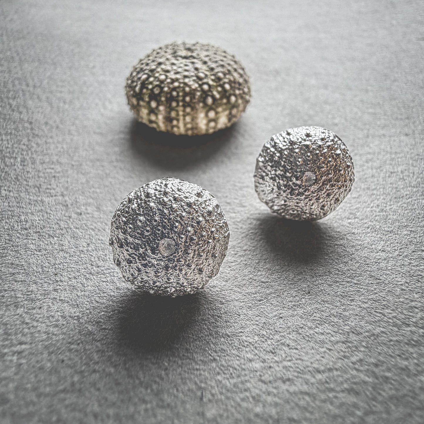 Kleine Seeigel-Ohrringe aus Silber | Lofoten Jewelry