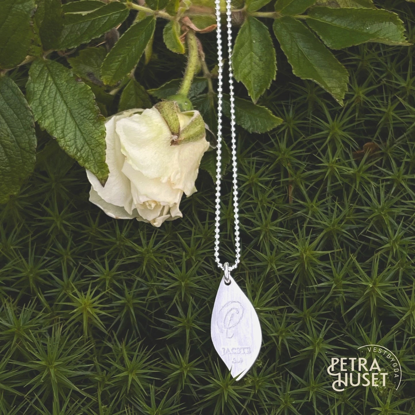 The Petrahuset collectionLIV – small leaf, lasting traces