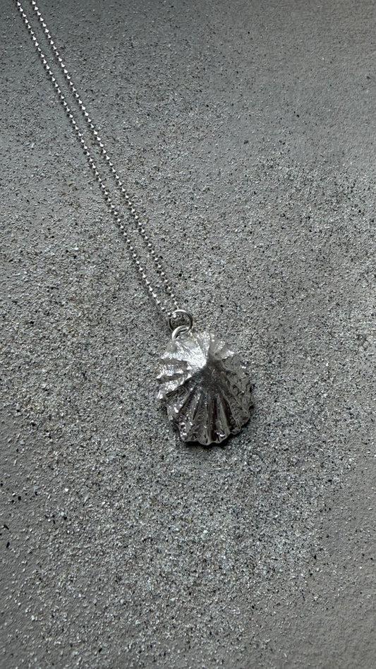 Lofoten Schmuck Silberkette "Ellbogenmuschel"