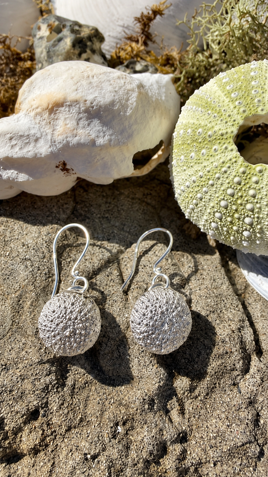 Small Sea Urchin Earrings in Silver | Lofoten Jewelry