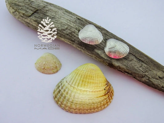 Lofoten Schmuck Silberohrringe "Muscheln"