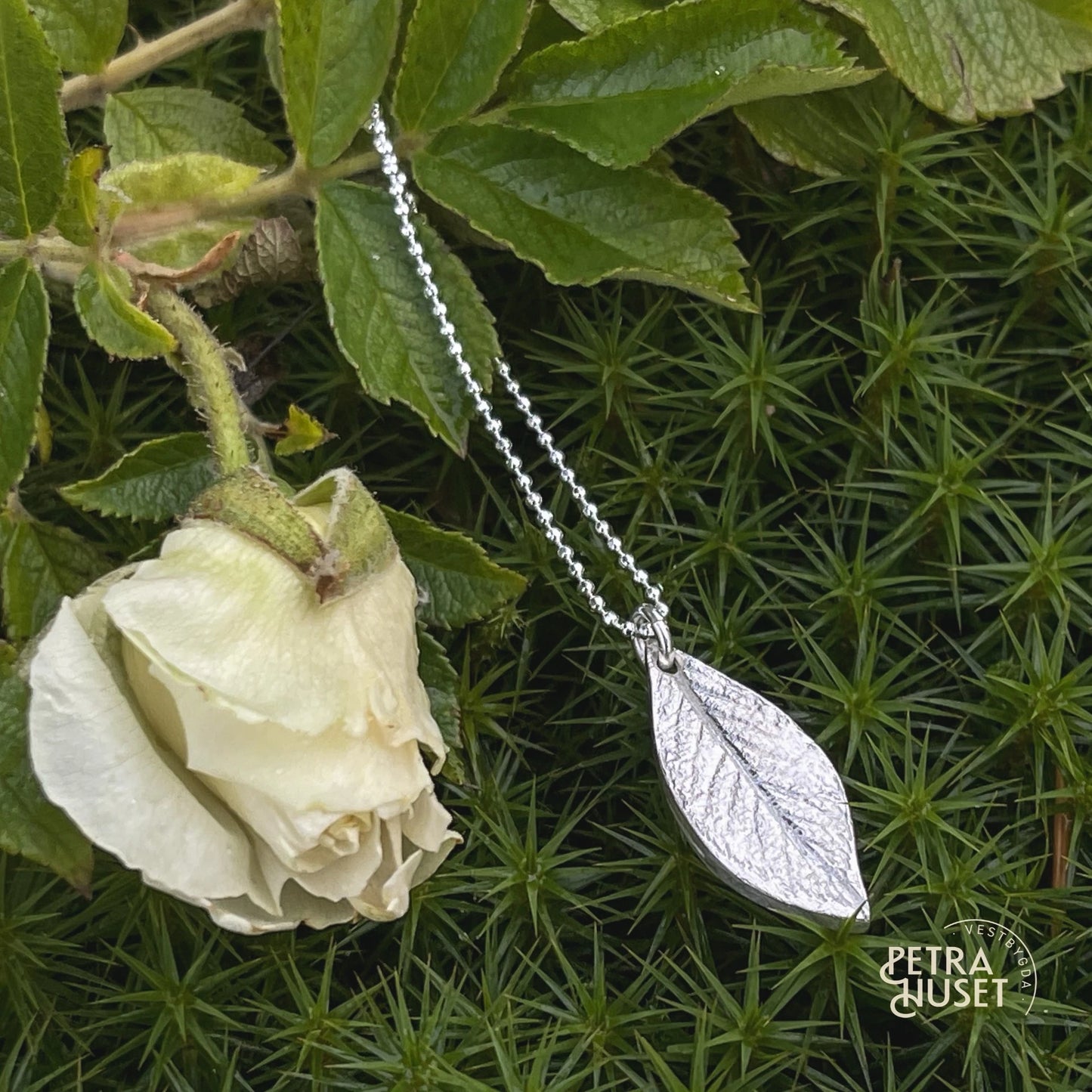 The Petrahuset collectionLIV – small leaf, lasting traces