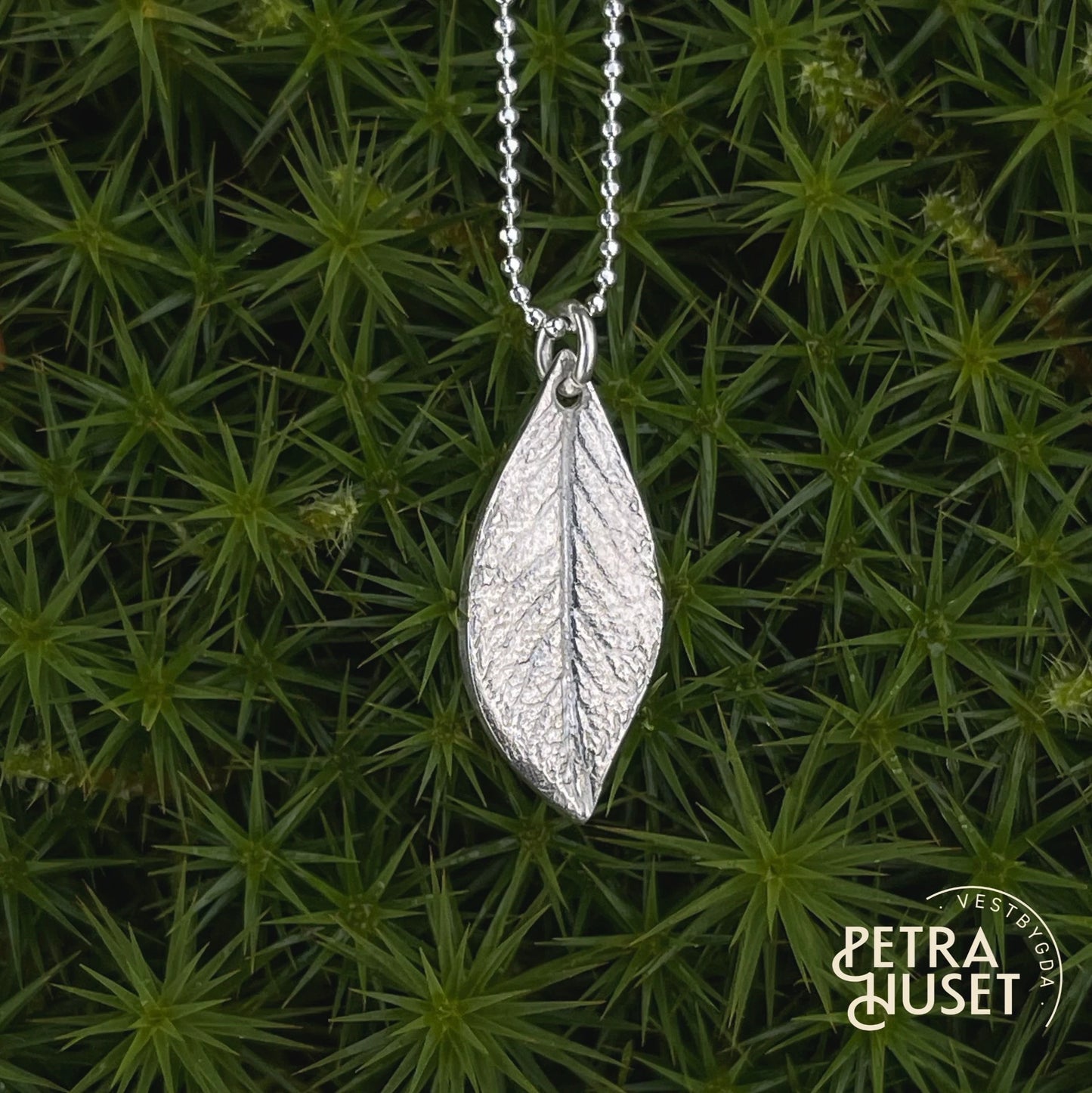 The Petrahuset collectionLIV – small leaf, lasting traces